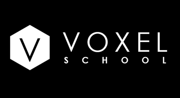Voxel School